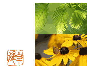 [fern, butterfly, yellow flowers]